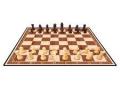 Corso gratuito di scacchi in sette lezioni