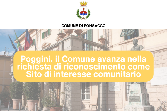 poggini documentazione